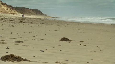 Cape Cod, MA Video stock 123911673