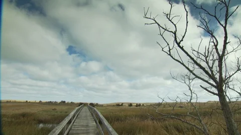 Cape Cod, MA Stock Footage 123911744