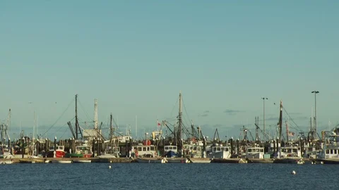 Cape Cod, MA Stock Footage 123912067