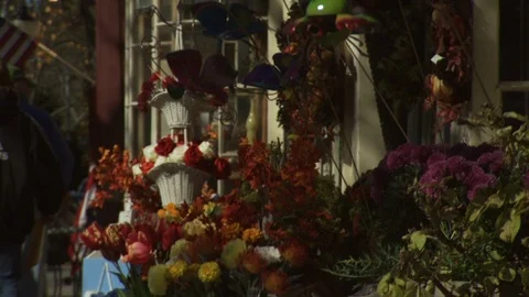 Cape Cod, MA Stock Footage 123912406