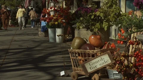 Cape Cod, MA Stock Footage 123912607