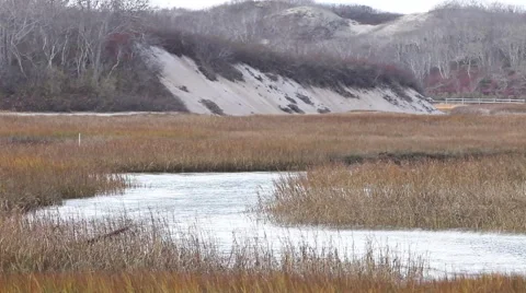 Cape cod marshes and bays Stock Footage 46461337