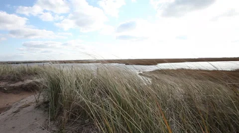 Cape cod marshes and bays Stock Footage 46461420