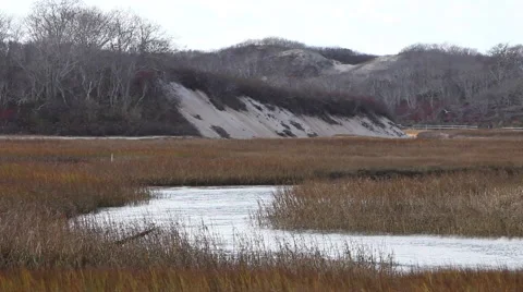 Cape cod marshes and bays Stock Footage 46461783