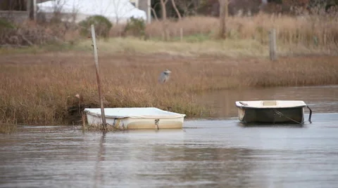 Cape cod marshes and bays Stock Footage 46462070