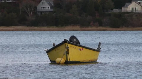 Cape cod marshes and bays Stock Footage 46462586