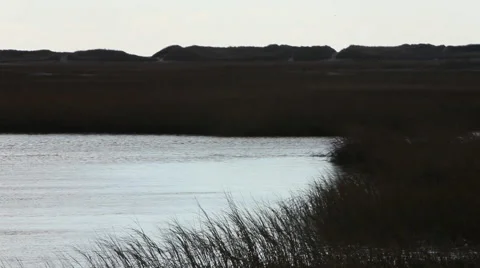 Cape cod marshes and bays Stock Footage 46462958