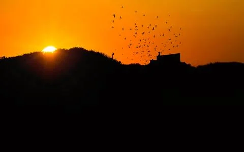 Cape Cod National Seashore Sunset with Flock of Starlings at Provincetown Stock Photos