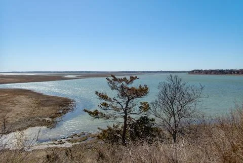 Cape-cod-salt-marsh Stock Photos