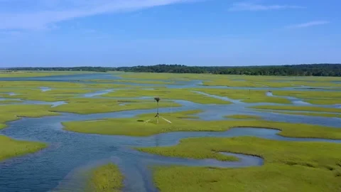 Cape Cod salt marshes from drone Видео 195825968