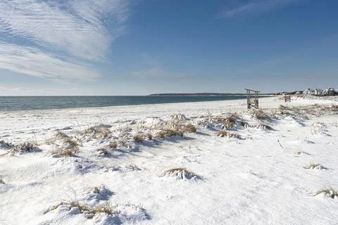 Cape Cod Seagull Beach and Horizon Stock Photos