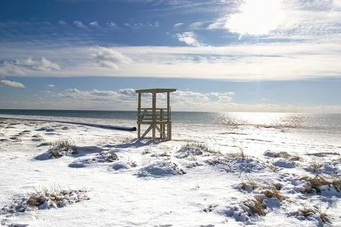 Cape Cod Seagull Beach Snow Stock Photos