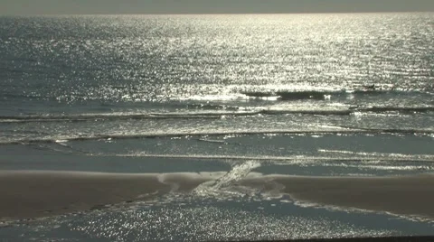 Cape Cod Shoreline Stock Footage 8521144