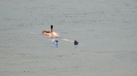 Cape Cod Snorkeling Stock Footage 41664057