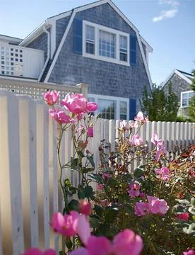 Cape Cod Style House and Pink Roses in Chatham, Massachusetts. Stock Photos