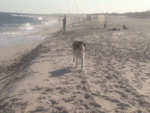 CAPE COD SUNSET ON THE BAY3 Stock Footage 76584058