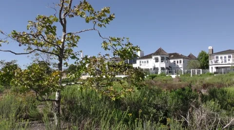 Cape code style house seen from brush and trees with strong wind. Video stock 67555911