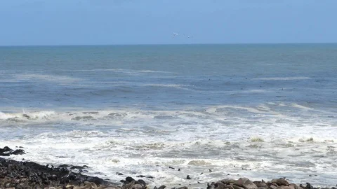 Cape Cross Beach, ocean waves, sea lion surfing, Namibia, Africa in HD Stock Footage 91084525