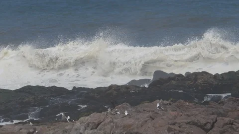 Cape Cross Ocean waves break on a rock, namibia, Africa in HD slowmotion Stock Footage 91082685