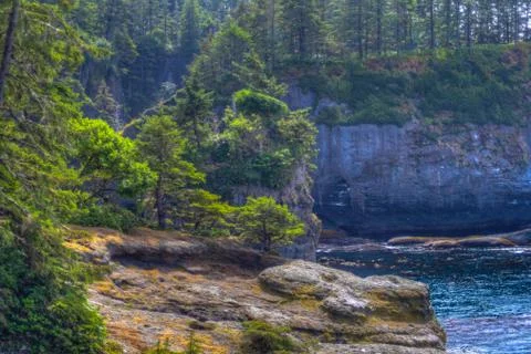 Cape Flattery Stock Photos