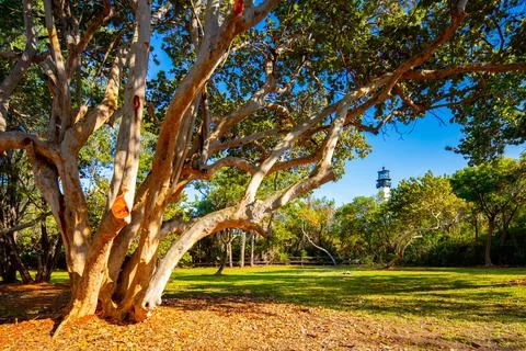 Cape Florida Lighthouse seen in distance from park at Key Biscayne Stock Photos