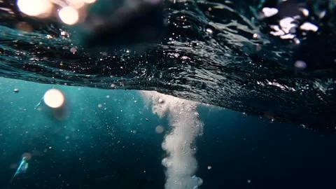 Cape gannet diving into the ocean in slow motion, followed underwater durin.. Stock Footage 342325741