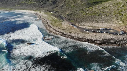 Cape Of Good Hope Stock Footage 93279842