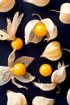 Cape Gooseberries or Peruvian Ground Cherries Stock Photos