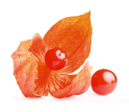 Cape Gooseberry Stock Photos