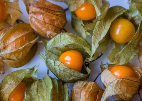 Cape gooseberry, physalis Stock Photos