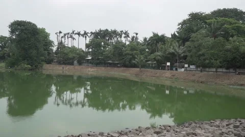 Cape lake landscape with reflection of trees and coconut trees Stock Footage 160236421