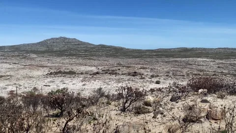 Cape Landscape After Wildfire Stock Footage 270153792