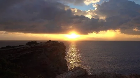 Cape martinet de ibiza at dawn in fast camera Stock Footage 101480541