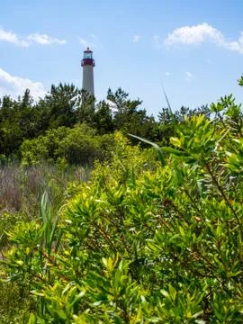 Cape May Lighthouse Through Forest, Marsh, New Jersey Stock Photos