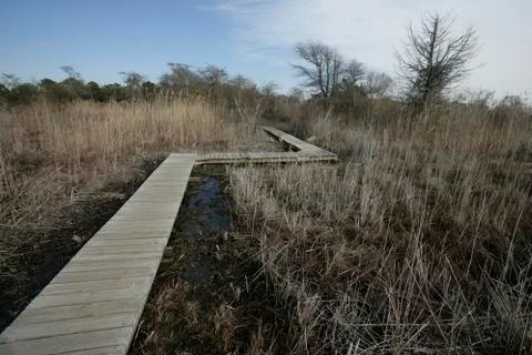 Cape May Stock Photos