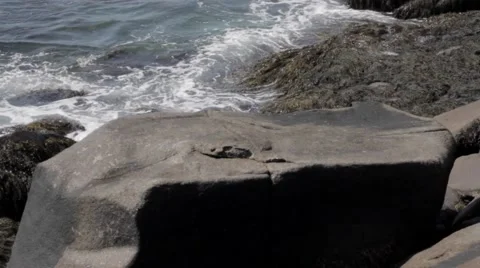 Cape Neddick Lighthouse Shore Stock Footage 54349477