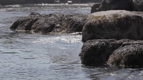 Cape Neddick Lighthouse Sunny Rocks and Tides Stock Footage 54349485