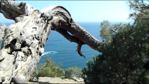 Cape of the New World 스톡 동영상 27528829