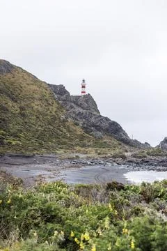 Cape Palliser LIghthouse Foto stock