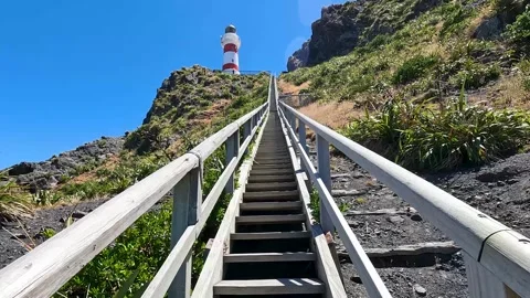 Cape Palliser Lighthouse on Rugged New Zealand Coastline  Scenic Views, His.. Stock-Footage 285353253
