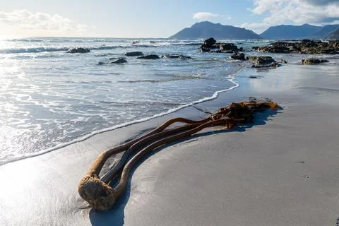 The cape peninsula Stock Photos