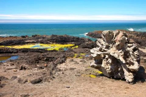 Cape perpetua, oregon coast. Stock Photos