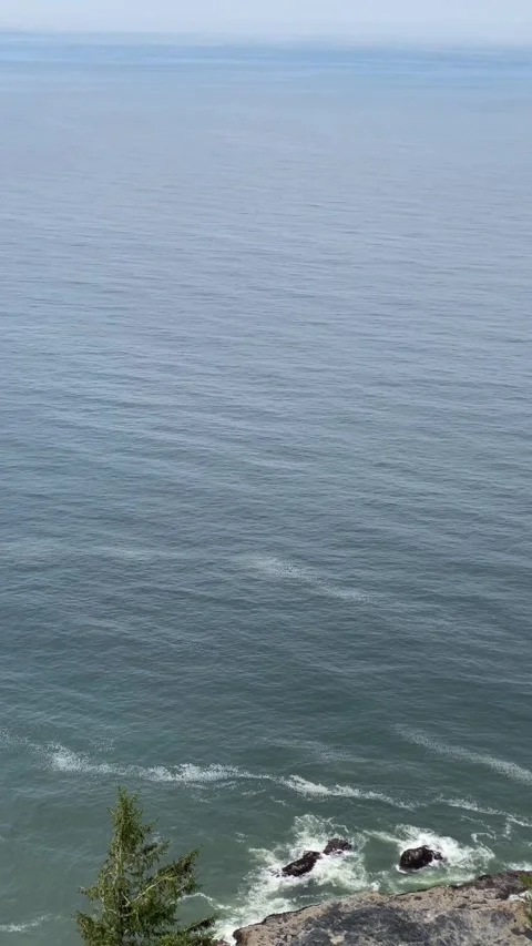 Cape Perpetua Overlook Stock Footage 281591321