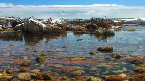 Cape Point with Cape Comorants, Cape Town 스톡 동영상 11249507
