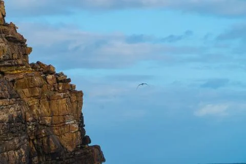 Cape Point Cliffs Cape Town Stock-Fotos