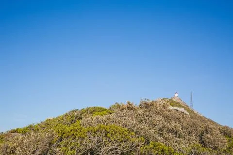 Cape Point lighthouse peeping through the trees Foto stock