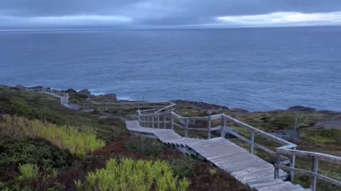 Cape Spear boardwalk and light house the North America's most easterly point 스톡 동영상 343008581