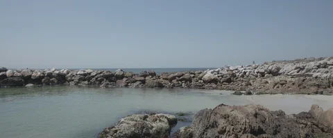 Cape Town penguins - UHD Prores 422 Stock Footage 104032140