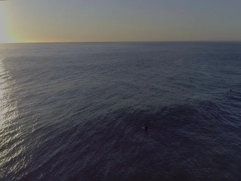 Cape Town Surfers Floating in Ocean Waters Stock Footage 79148266