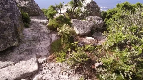 Cape town from the top Stock Footage 86448462